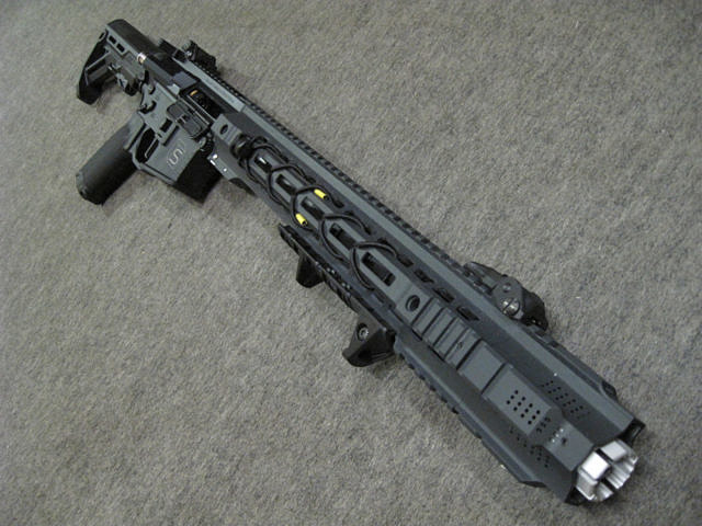 Salient Arms International GRY – AR15 14.5” Carbine | ♡ Claire 